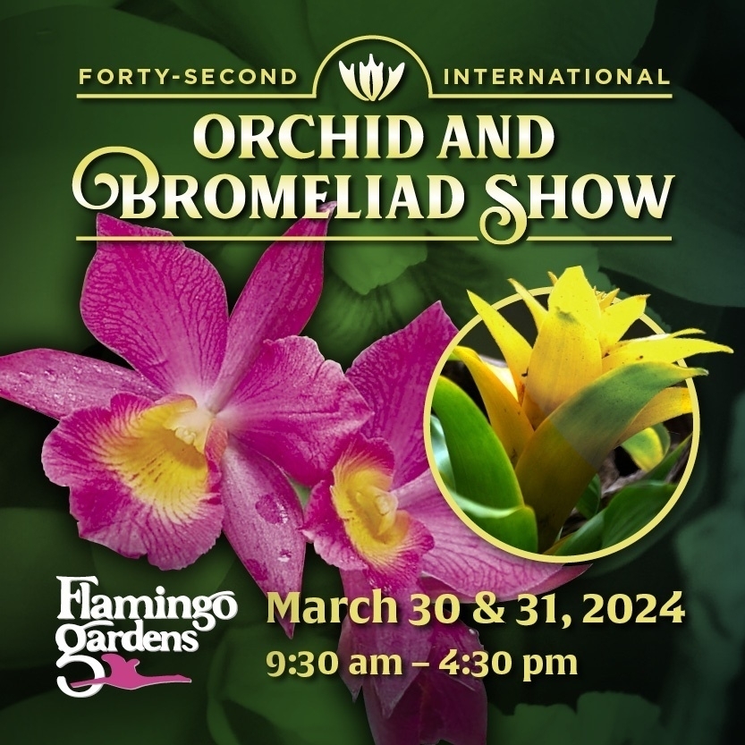 42nd Annual Flamingo Gardens Orchid and Bromeliad show 